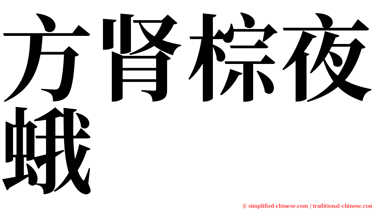 方肾棕夜蛾 serif font