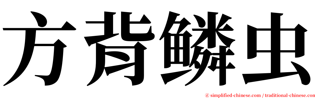 方背鳞虫 serif font