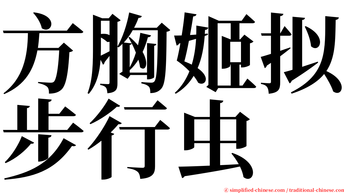 方胸姬拟步行虫 serif font