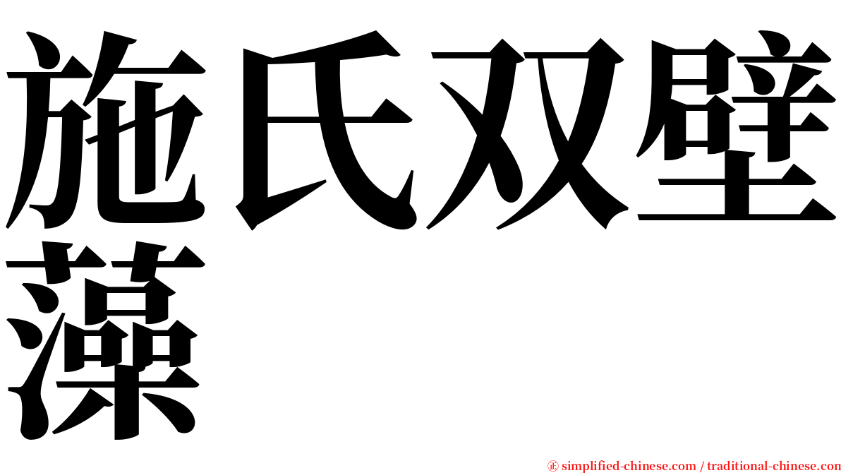 施氏双壁藻 serif font