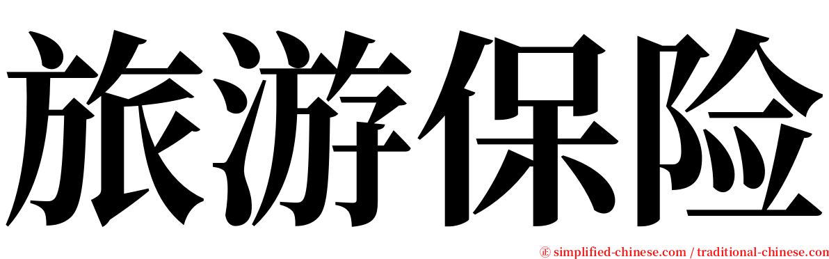 旅游保险 serif font