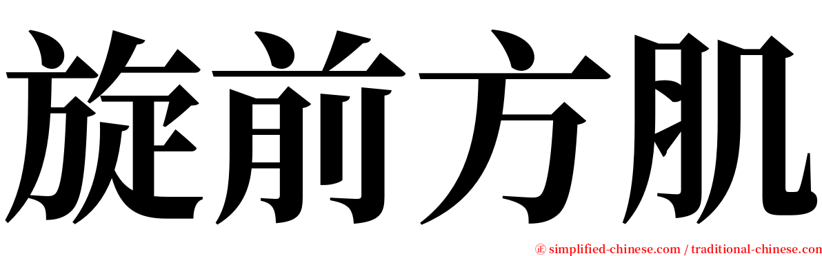 旋前方肌 serif font