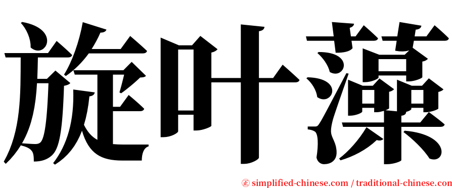 旋叶藻 serif font