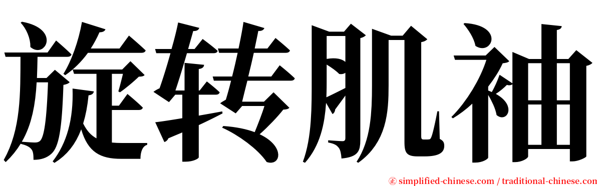 旋转肌袖 serif font