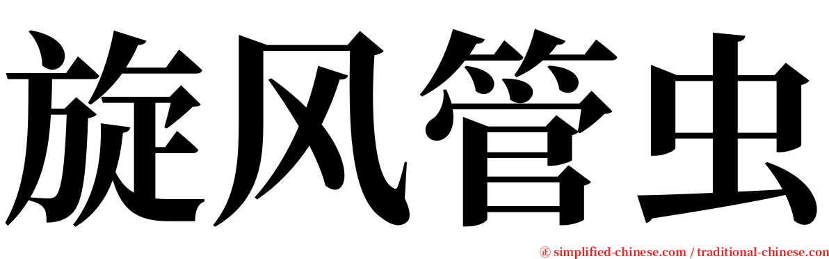 旋风管虫 serif font