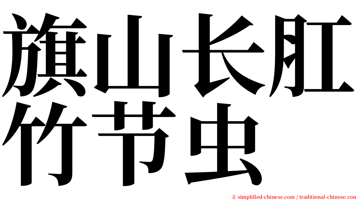 旗山长肛竹节虫 serif font