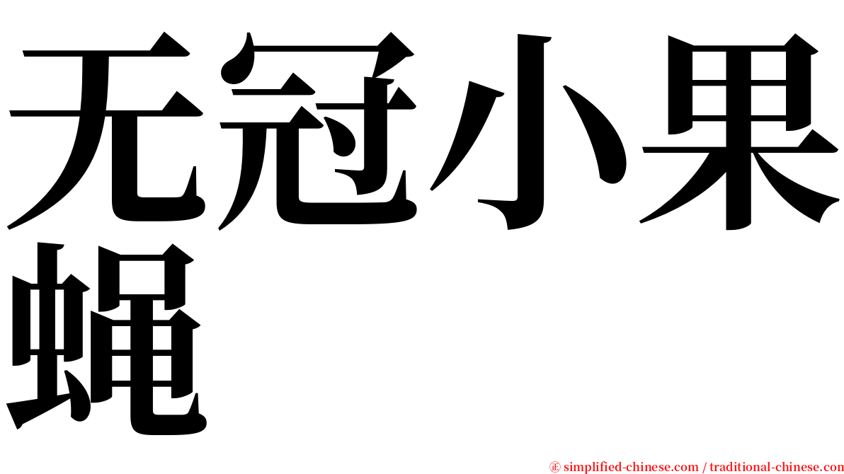 无冠小果蝇 serif font