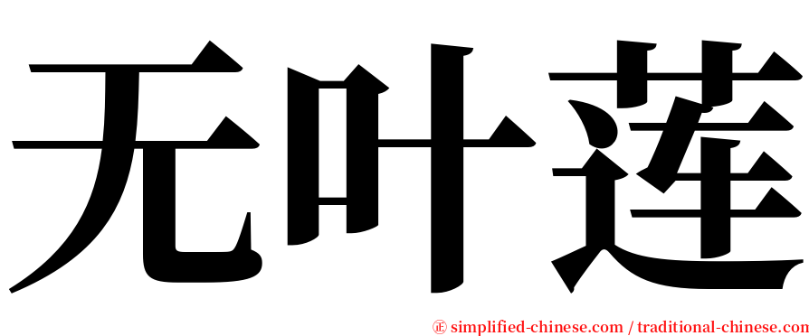 无叶莲 serif font