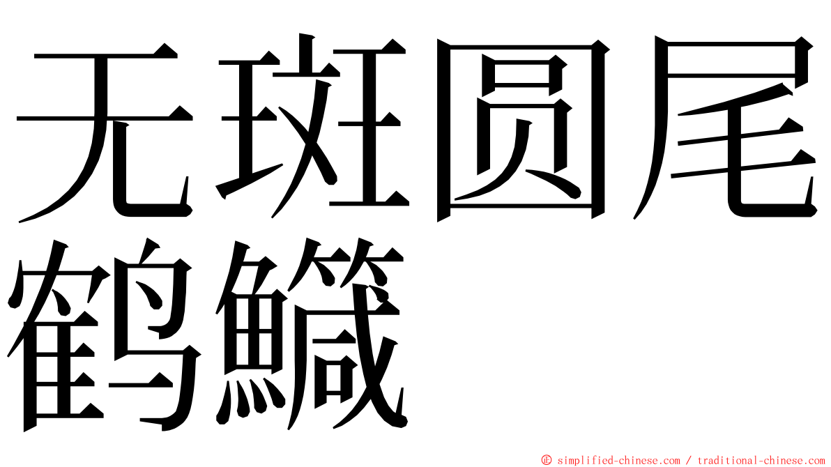 无斑圆尾鹤鱵 ming font