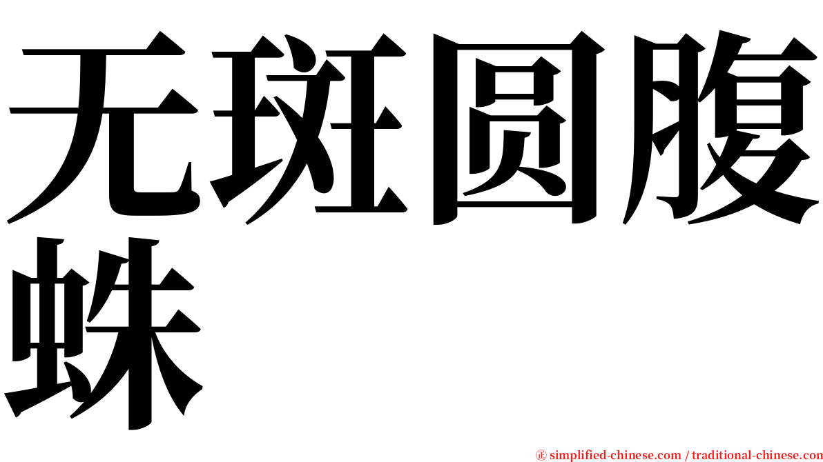 无斑圆腹蛛 serif font