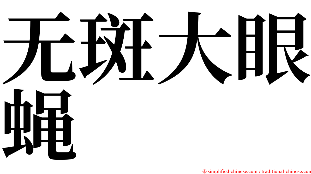 无斑大眼蝇 serif font