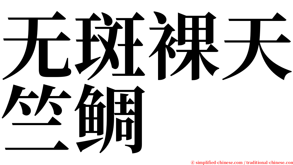 无斑裸天竺鲷 serif font