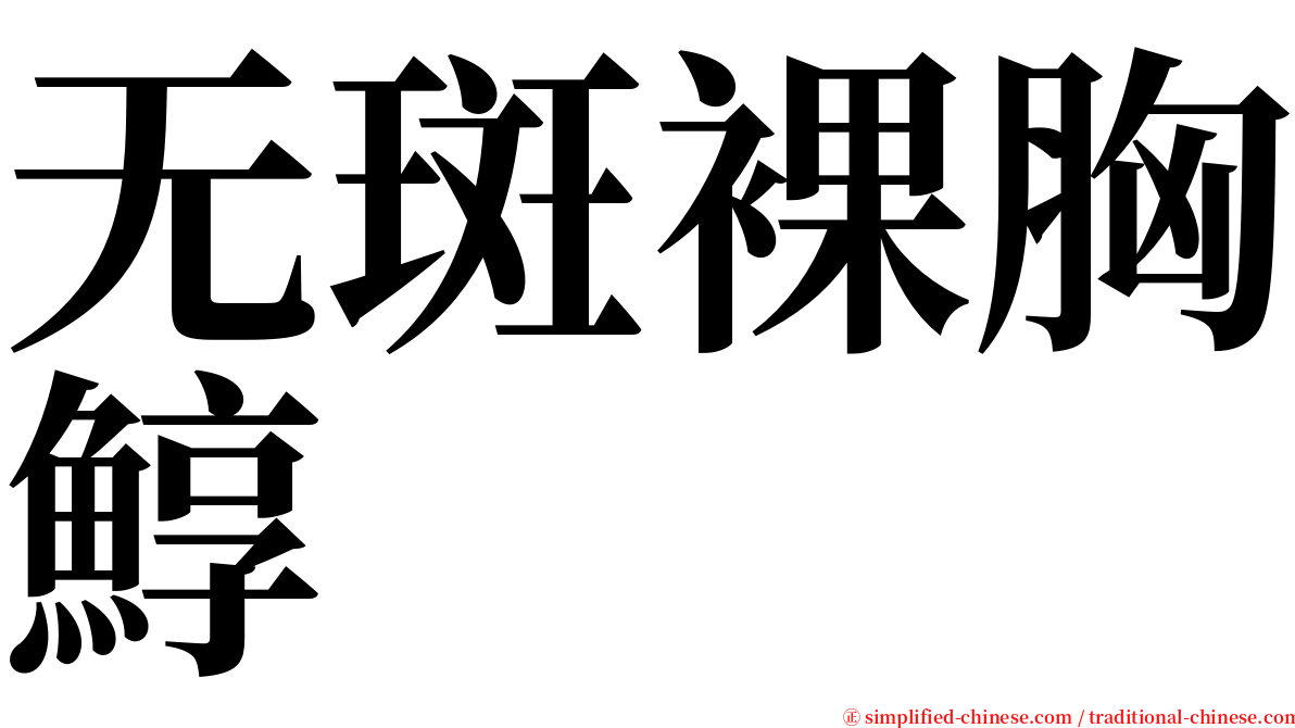 无斑裸胸鯙 serif font