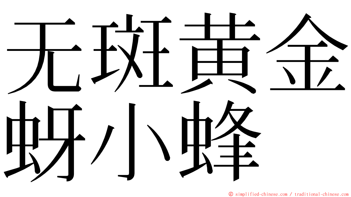 无斑黄金蚜小蜂 ming font