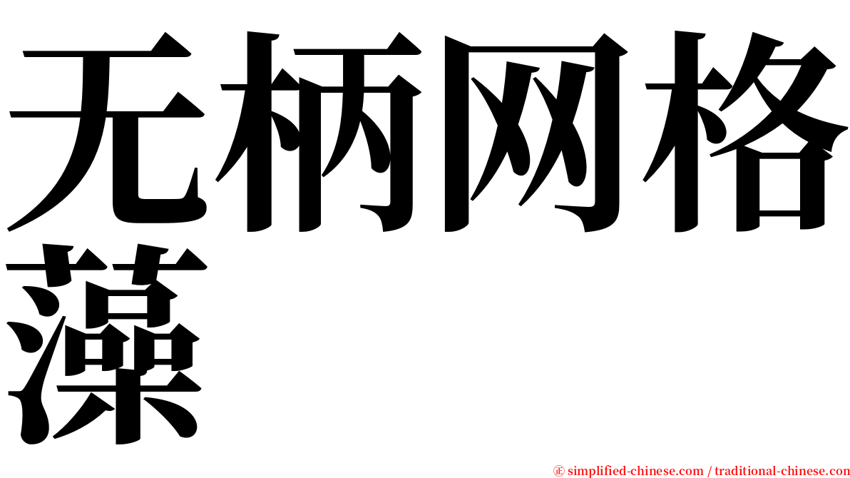 无柄网格藻 serif font