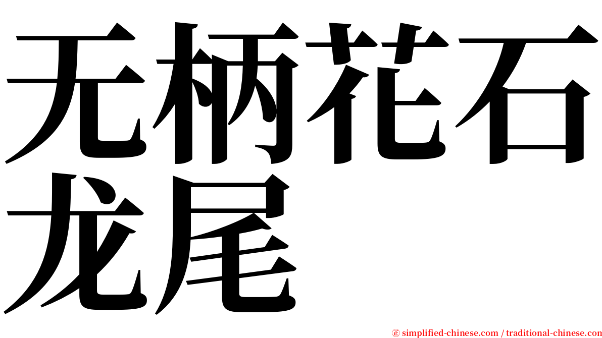 无柄花石龙尾 serif font