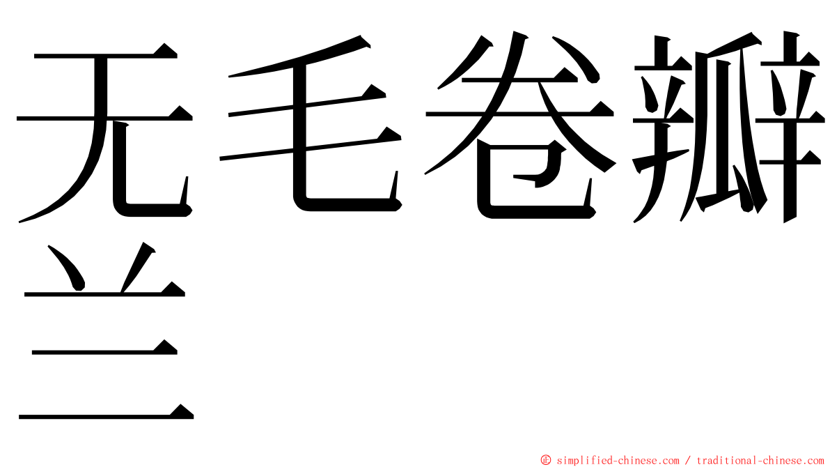 无毛卷瓣兰 ming font