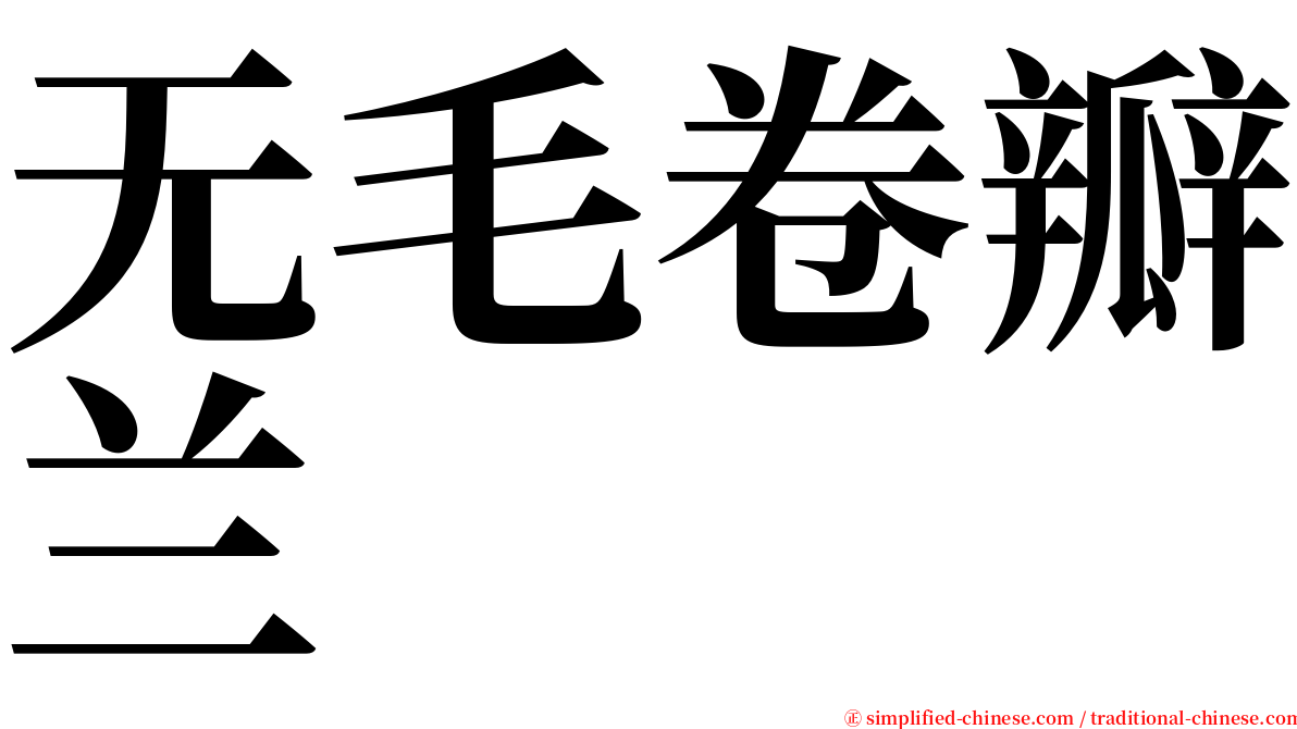 无毛卷瓣兰 serif font