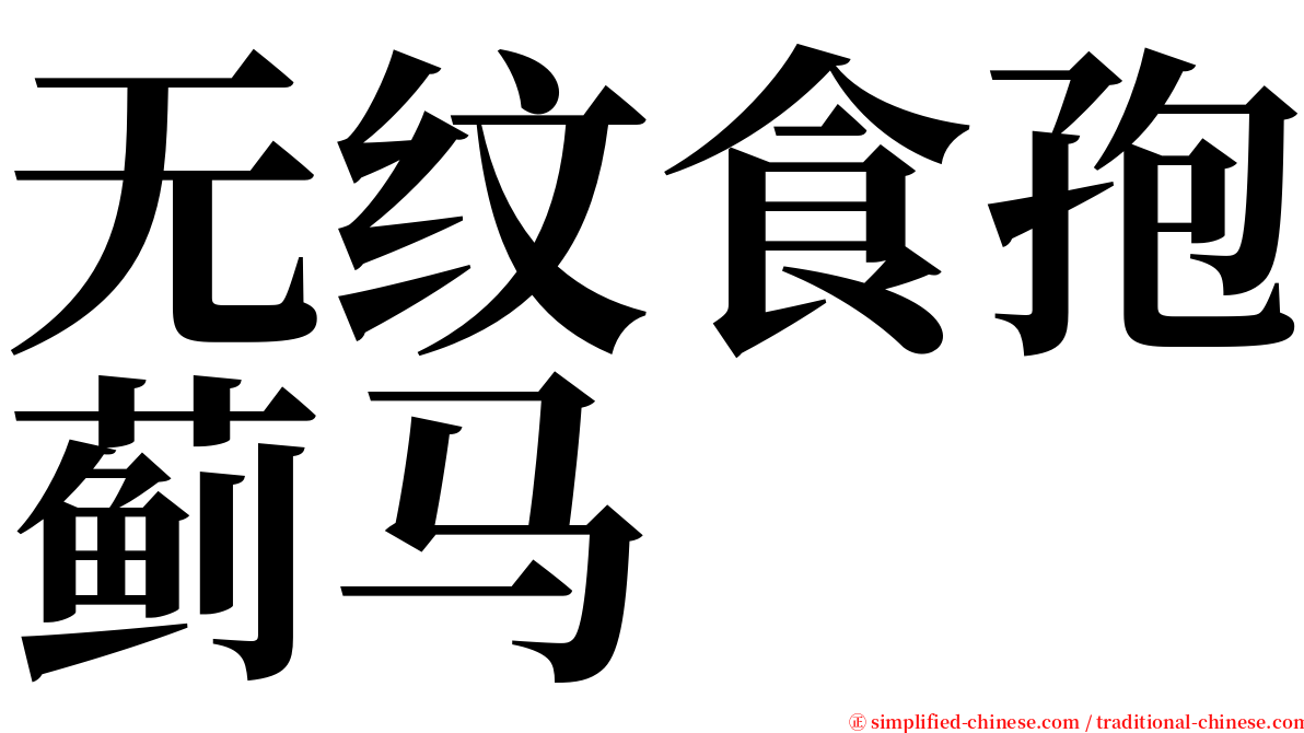 无纹食孢蓟马 serif font