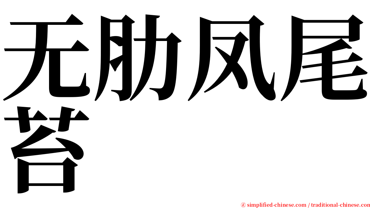 无肋凤尾苔 serif font