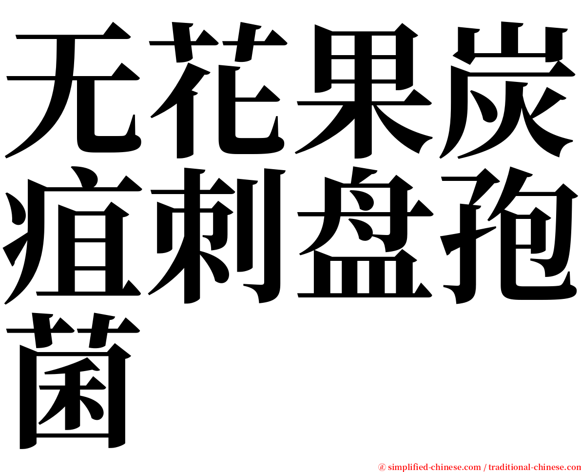 无花果炭疽刺盘孢菌 serif font