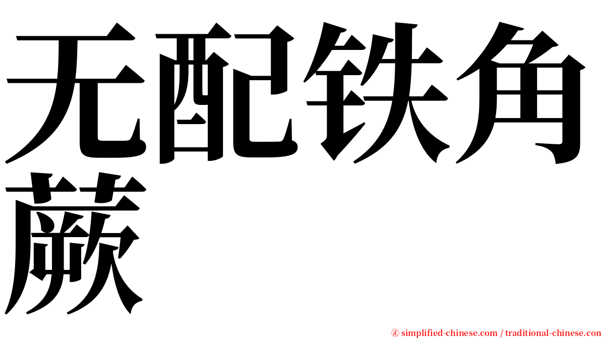 无配铁角蕨 serif font