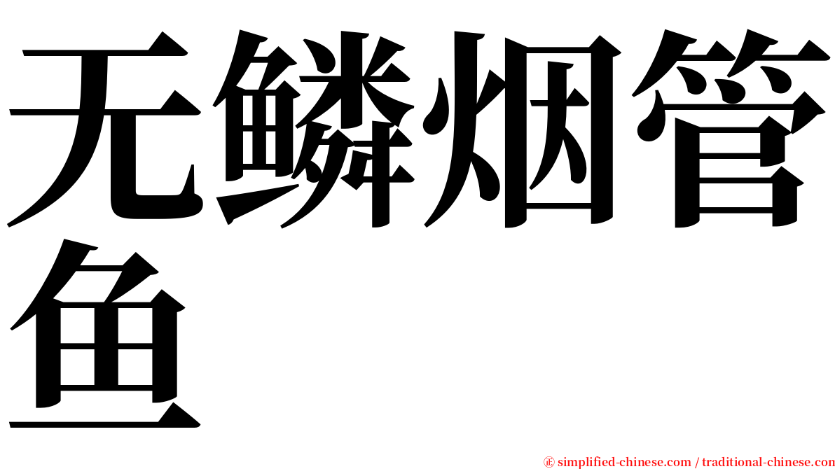 无鳞烟管鱼 serif font