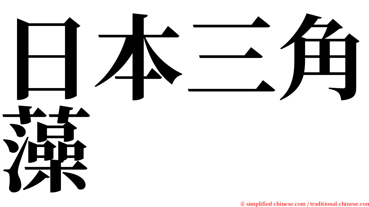 日本三角藻 serif font
