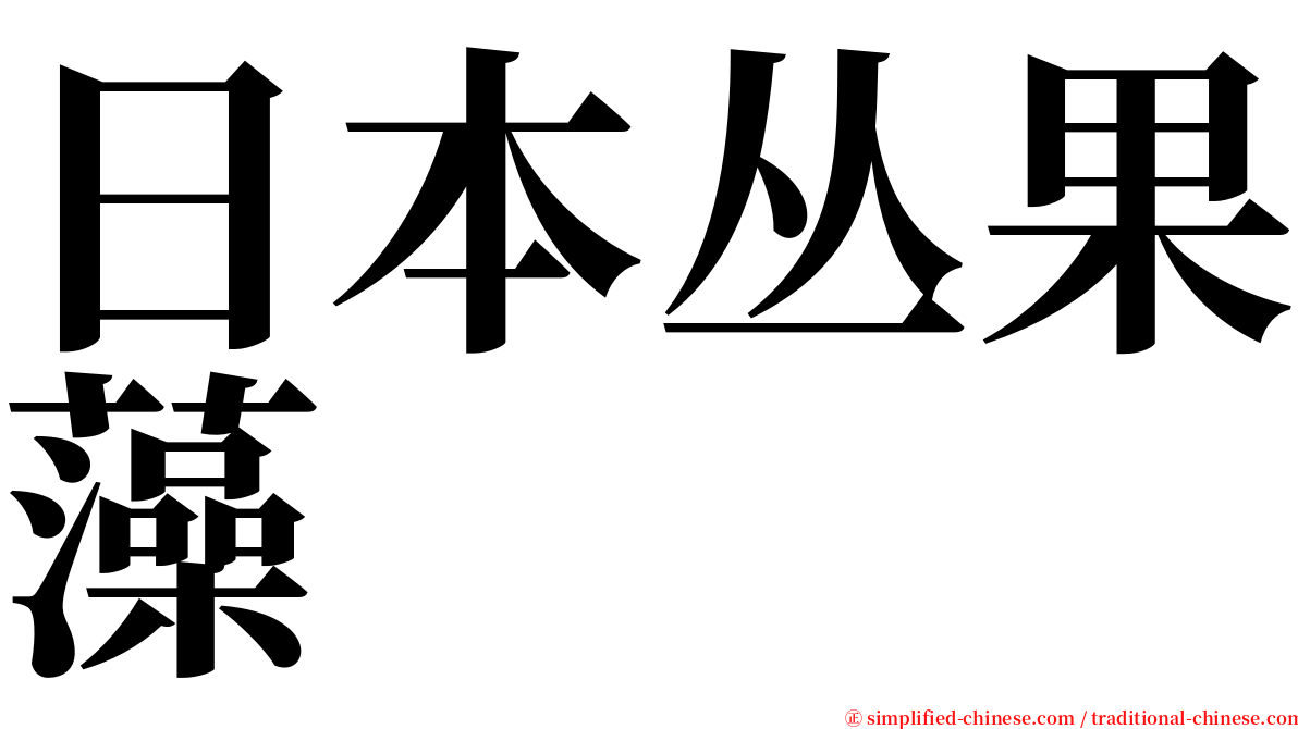日本丛果藻 serif font