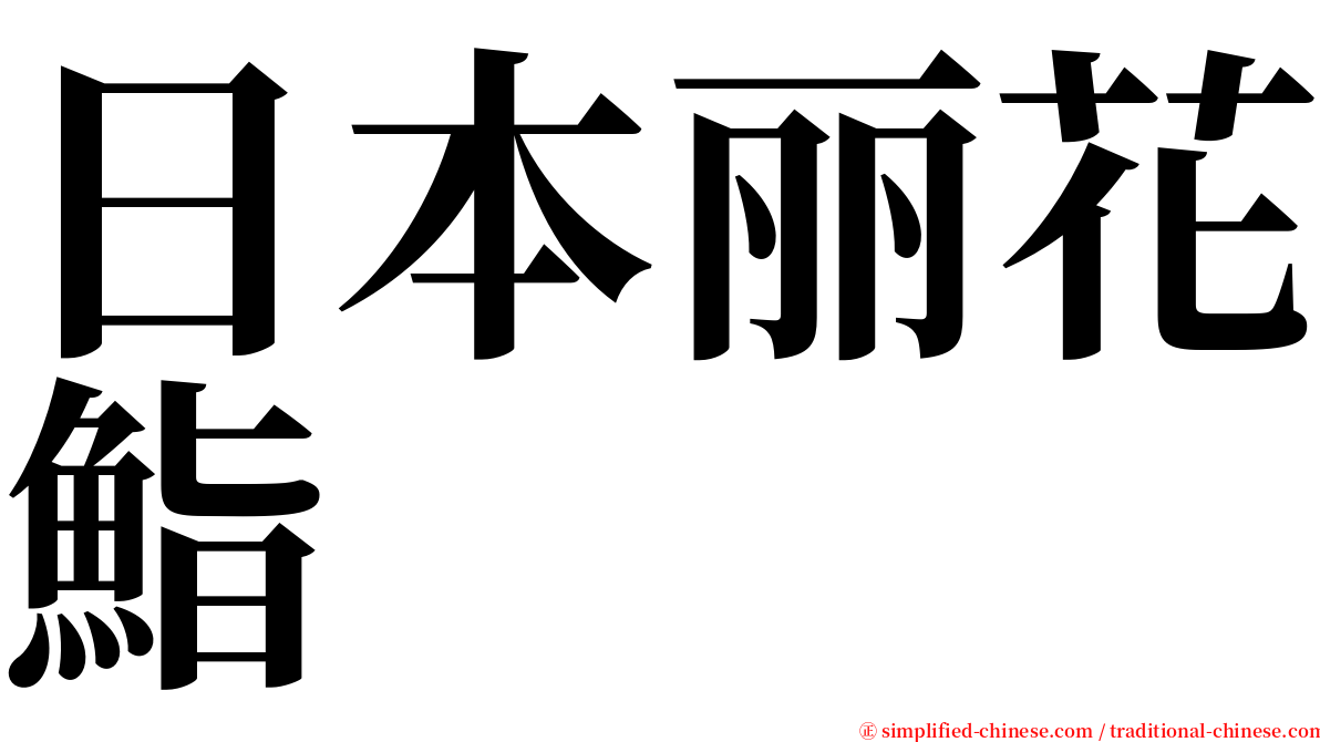 日本丽花鮨 serif font