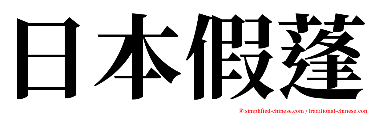 日本假蓬 serif font
