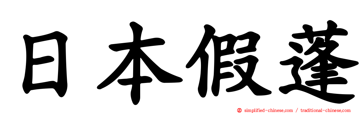 日本假蓬