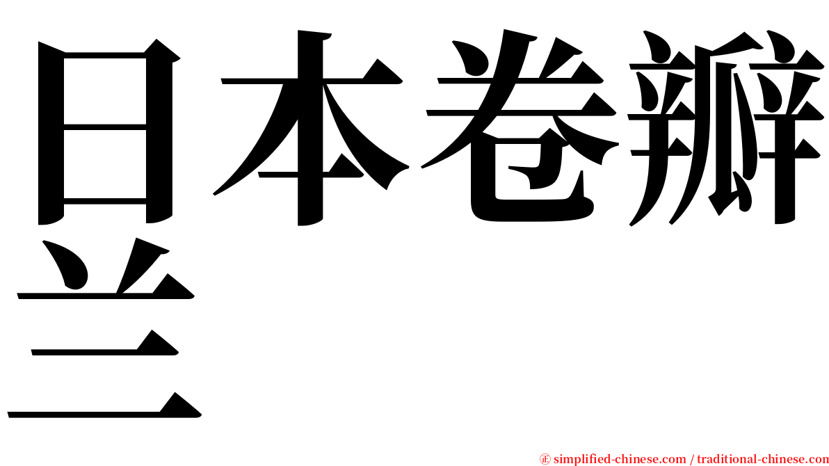 日本卷瓣兰 serif font