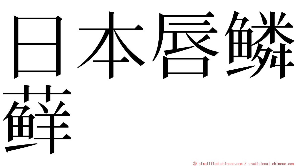 日本唇鳞藓 ming font