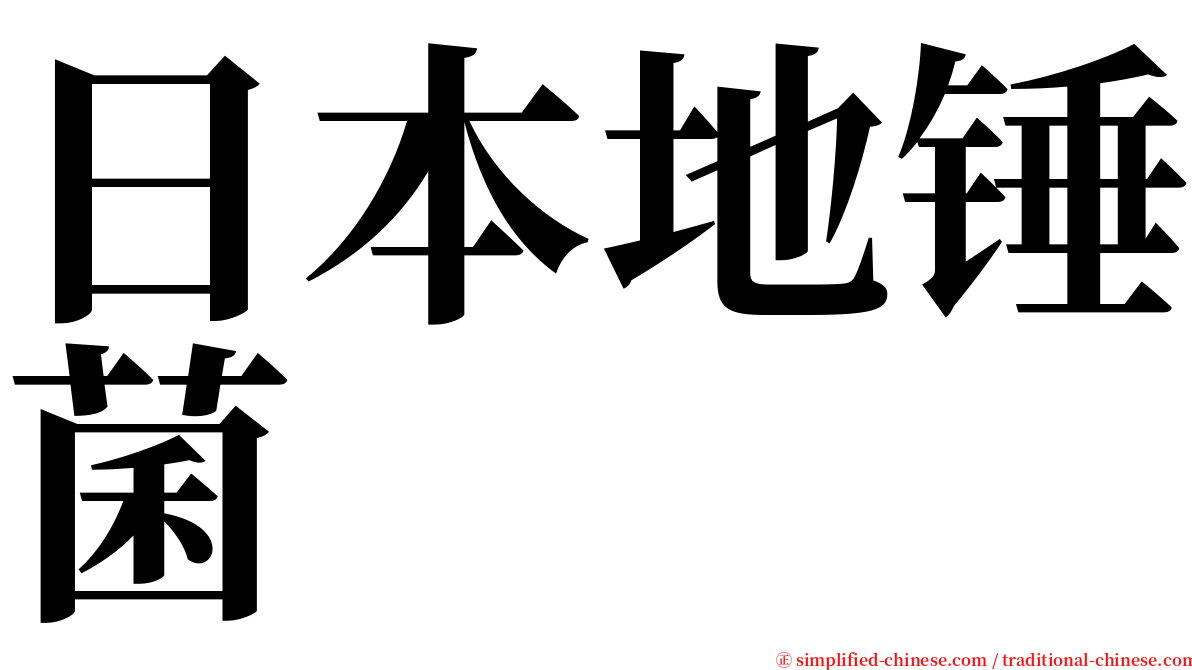 日本地锤菌 serif font