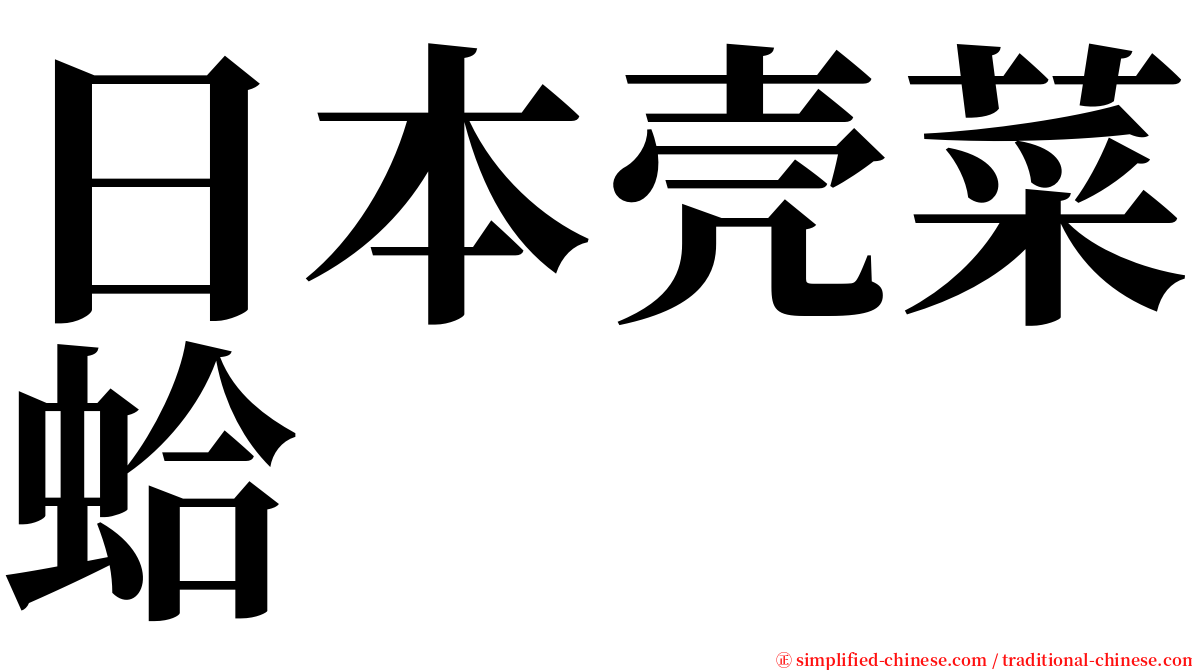 日本壳菜蛤 serif font
