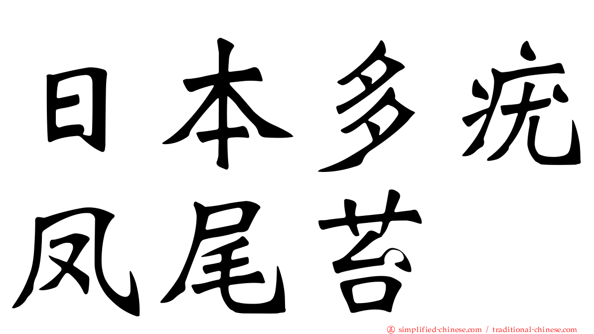 日本多疣凤尾苔