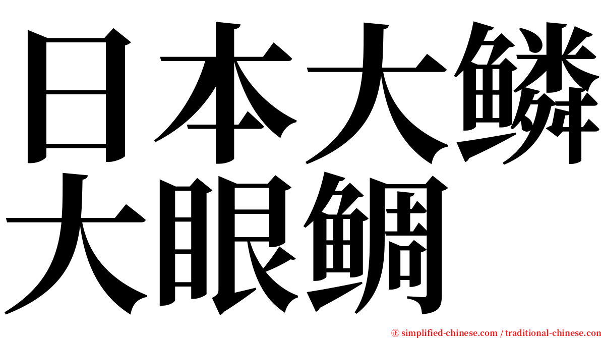 日本大鳞大眼鲷 serif font