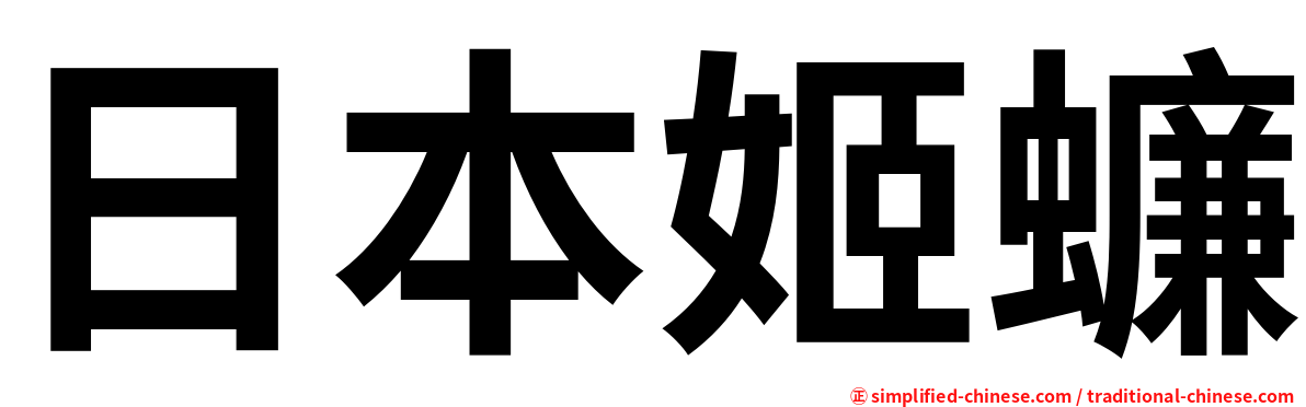 日本姬蠊