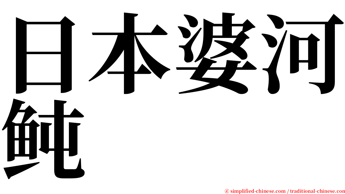 日本婆河鲀 serif font