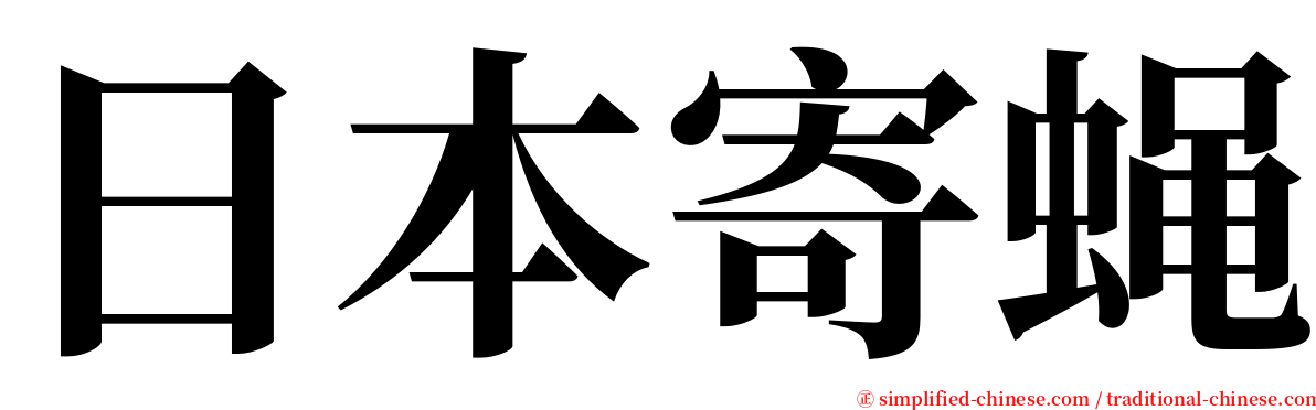 日本寄蝇 serif font