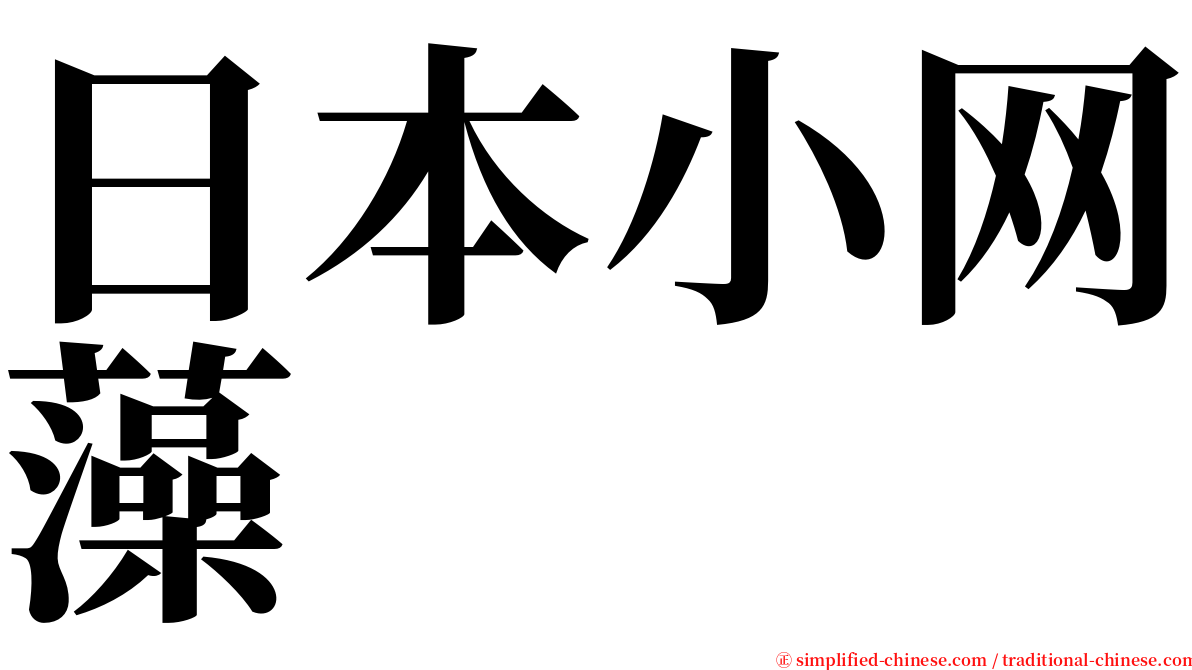 日本小网藻 serif font