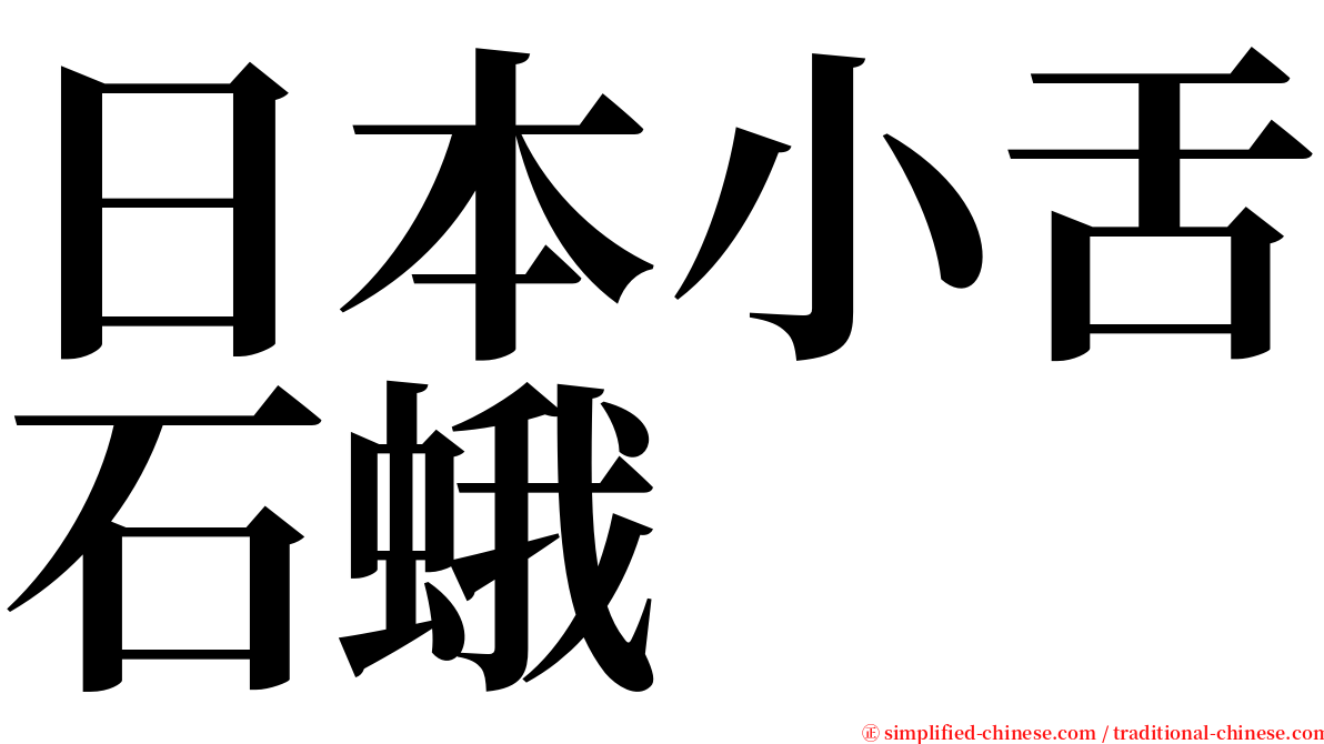 日本小舌石蛾 serif font