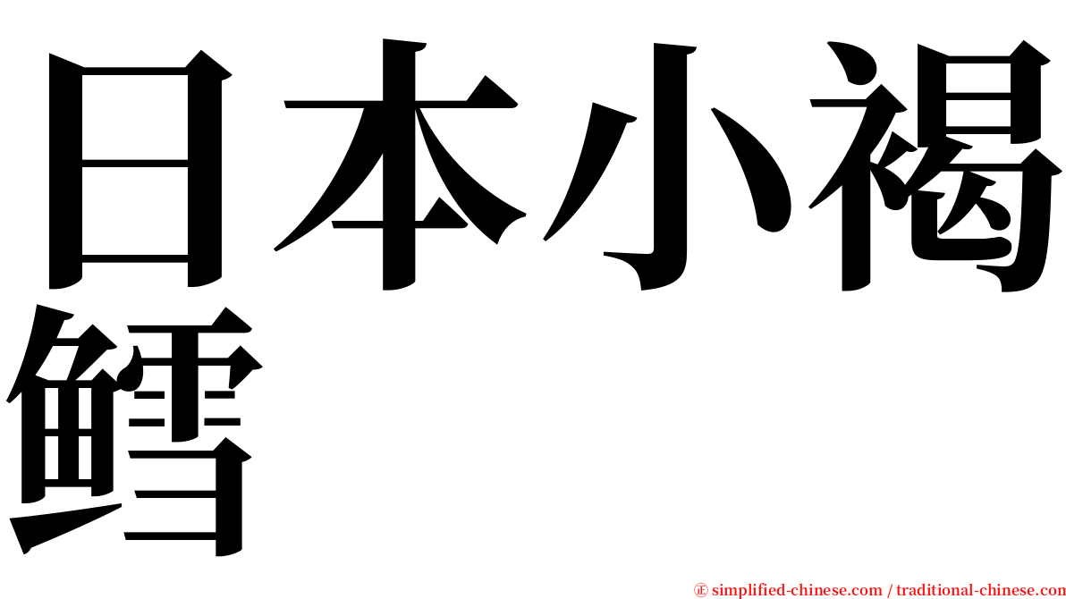 日本小褐鳕 serif font