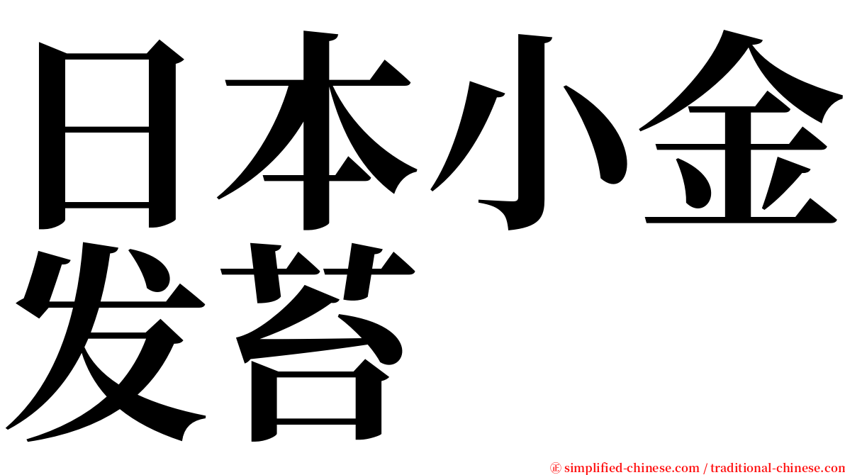 日本小金发苔 serif font