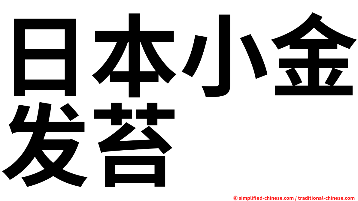 日本小金发苔