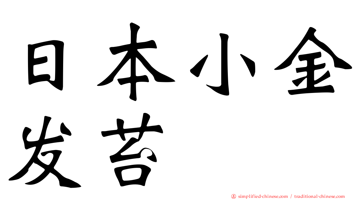 日本小金发苔