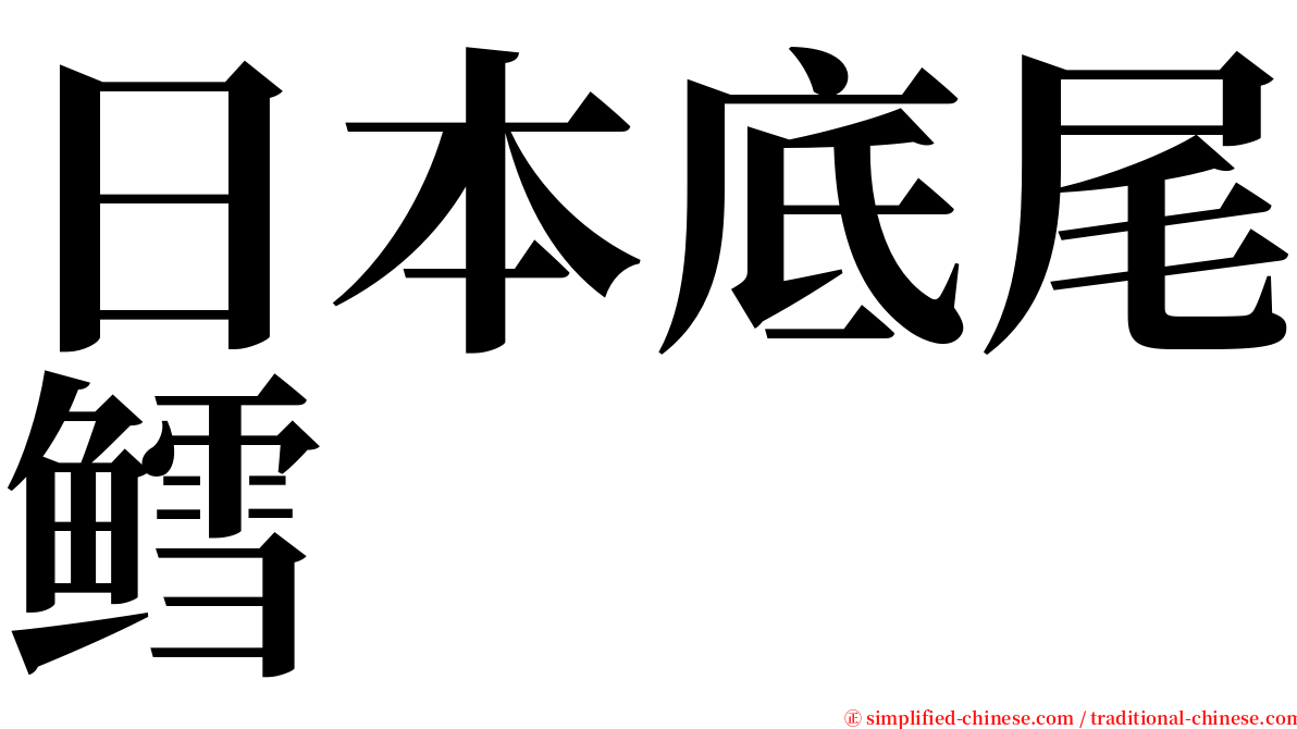 日本底尾鳕 serif font