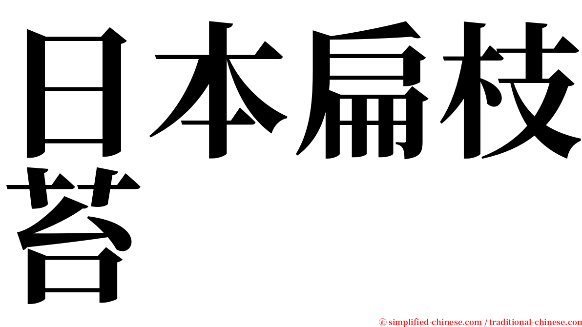 日本扁枝苔 serif font