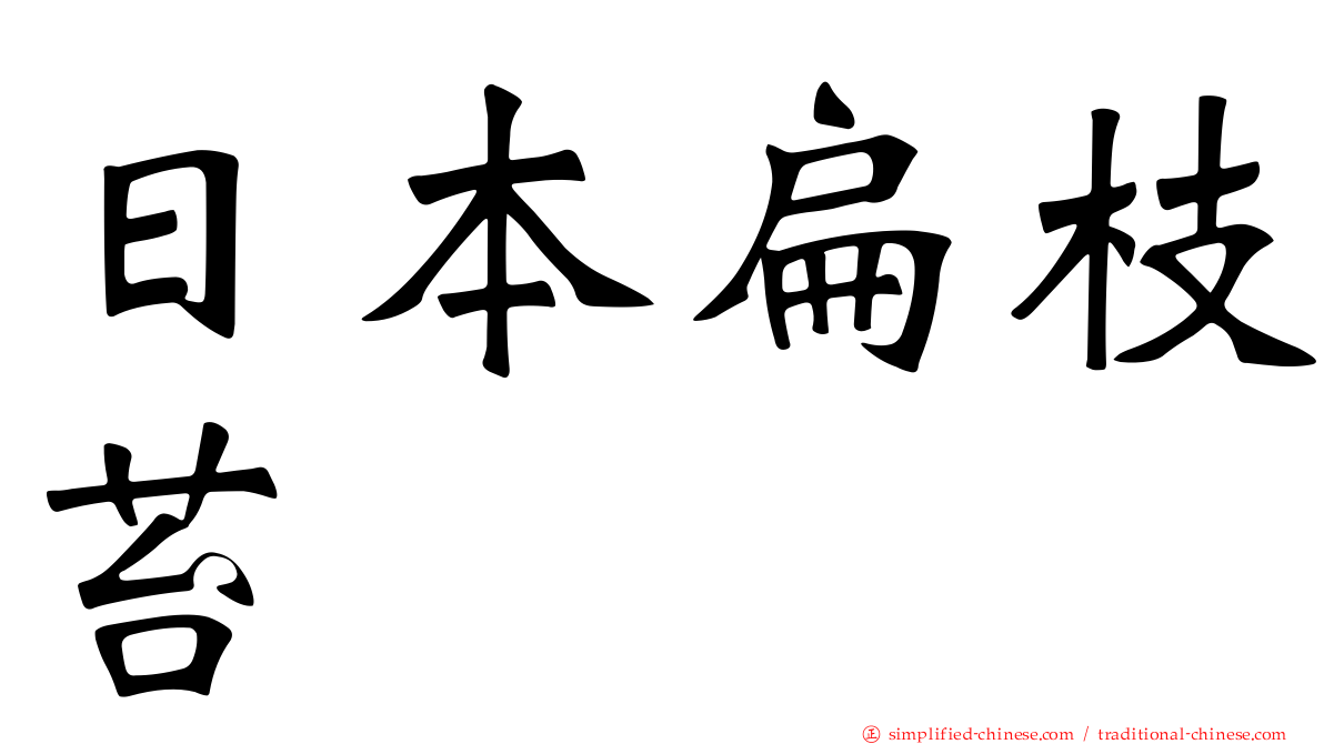 日本扁枝苔